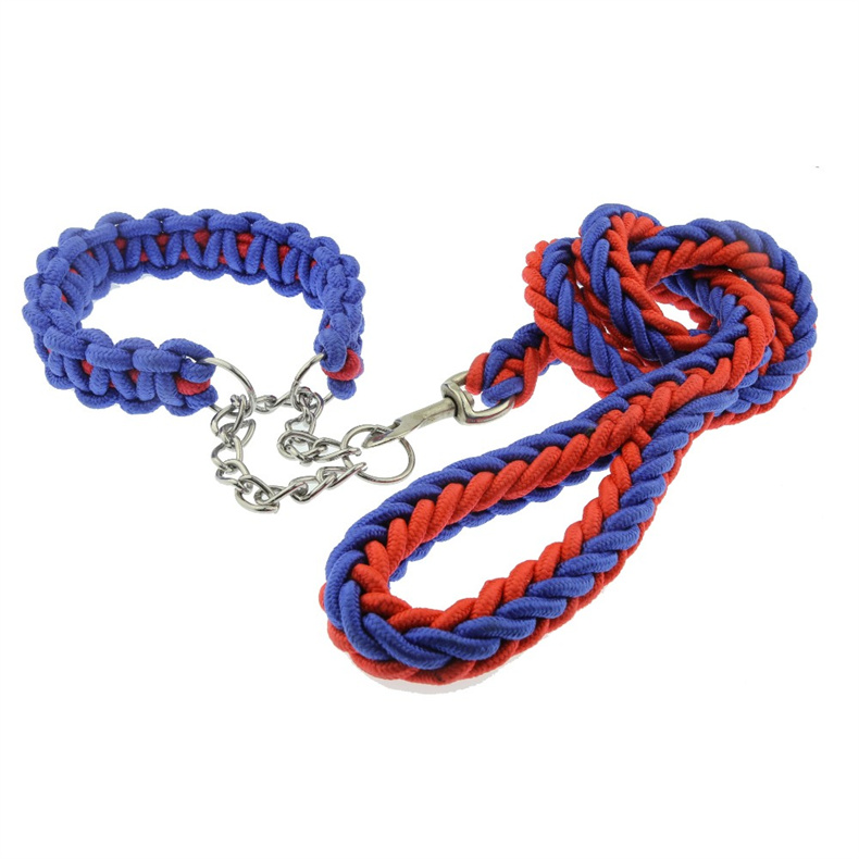 Detail-01 dog collar and leash set.jpg